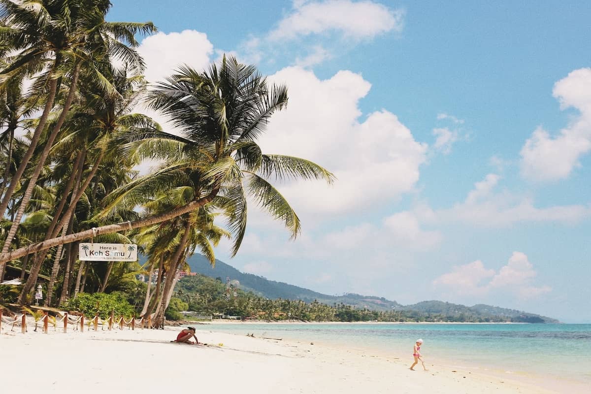 Tranquil bay surrounded by green hills and palm trees