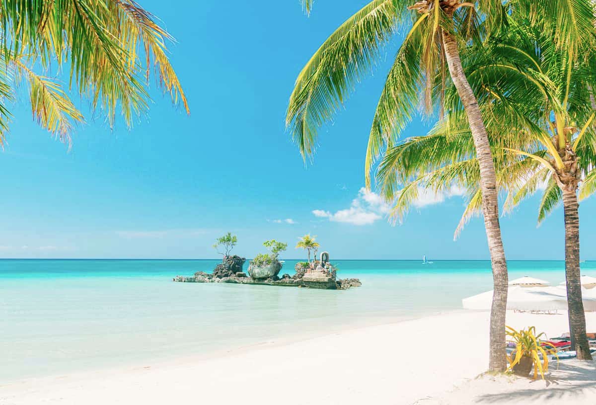 Tropical beach with palm trees in the Philippines.