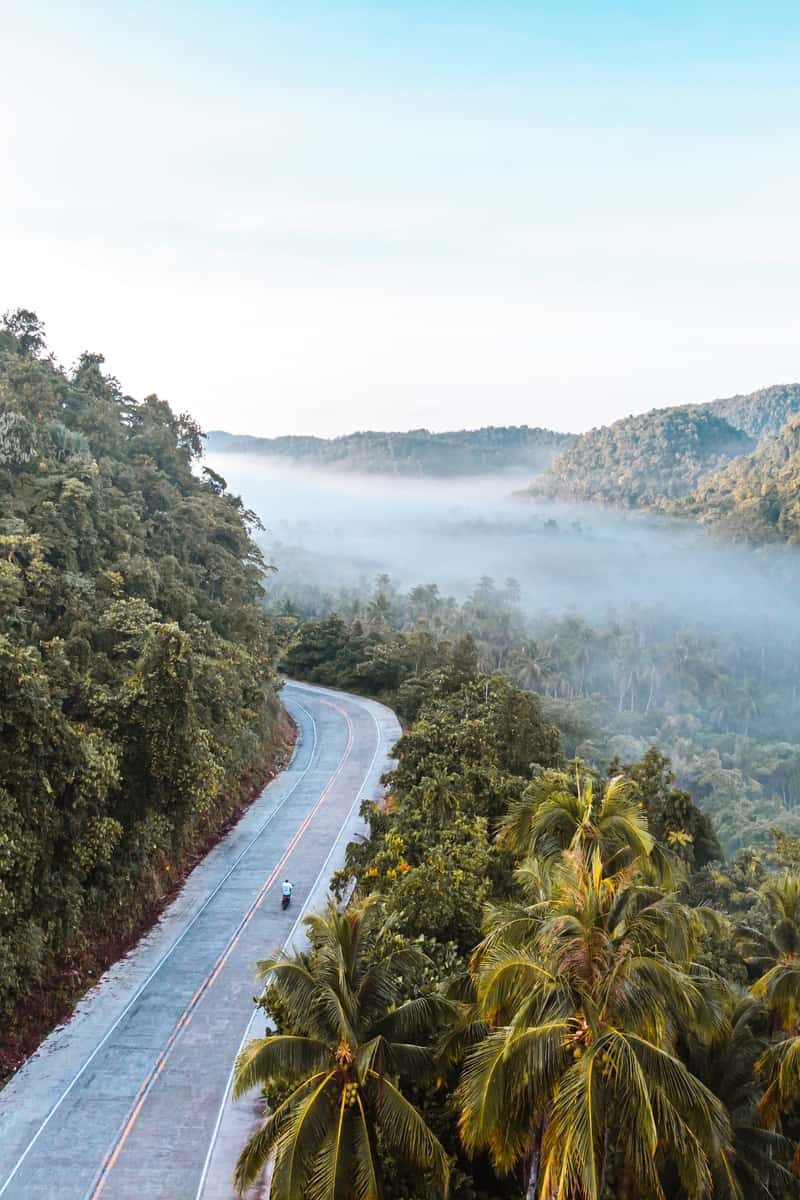 Misty mountain landscape with greenery.