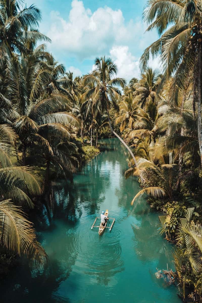 Turquoise river with palm trees.