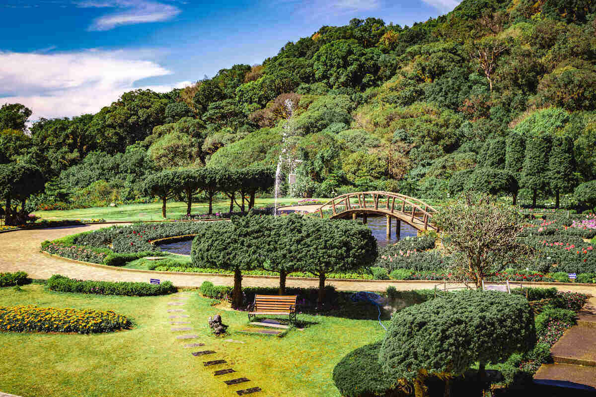 Flower garden with sculpted hedges.