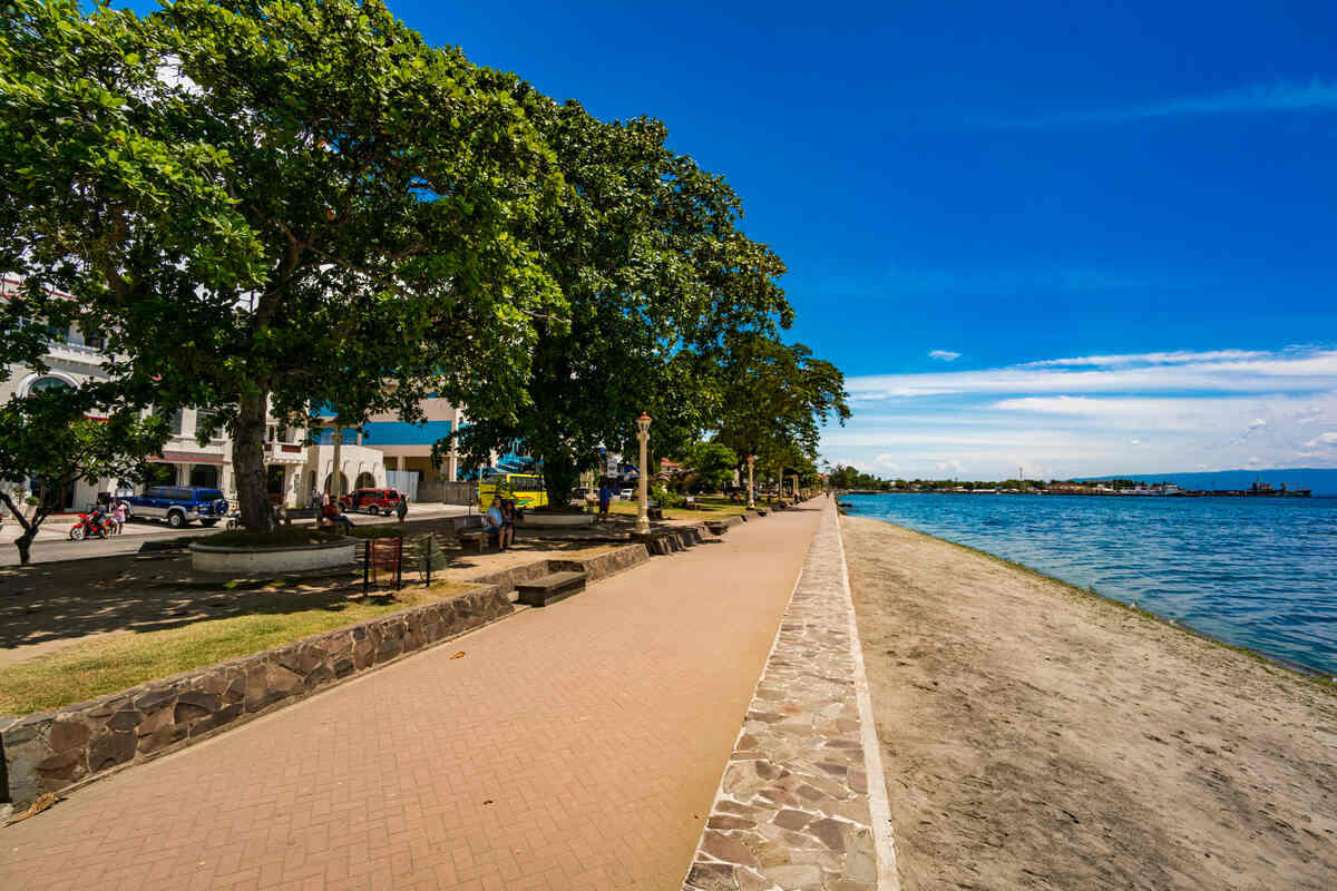 Palm-lined pathway with ocean view.