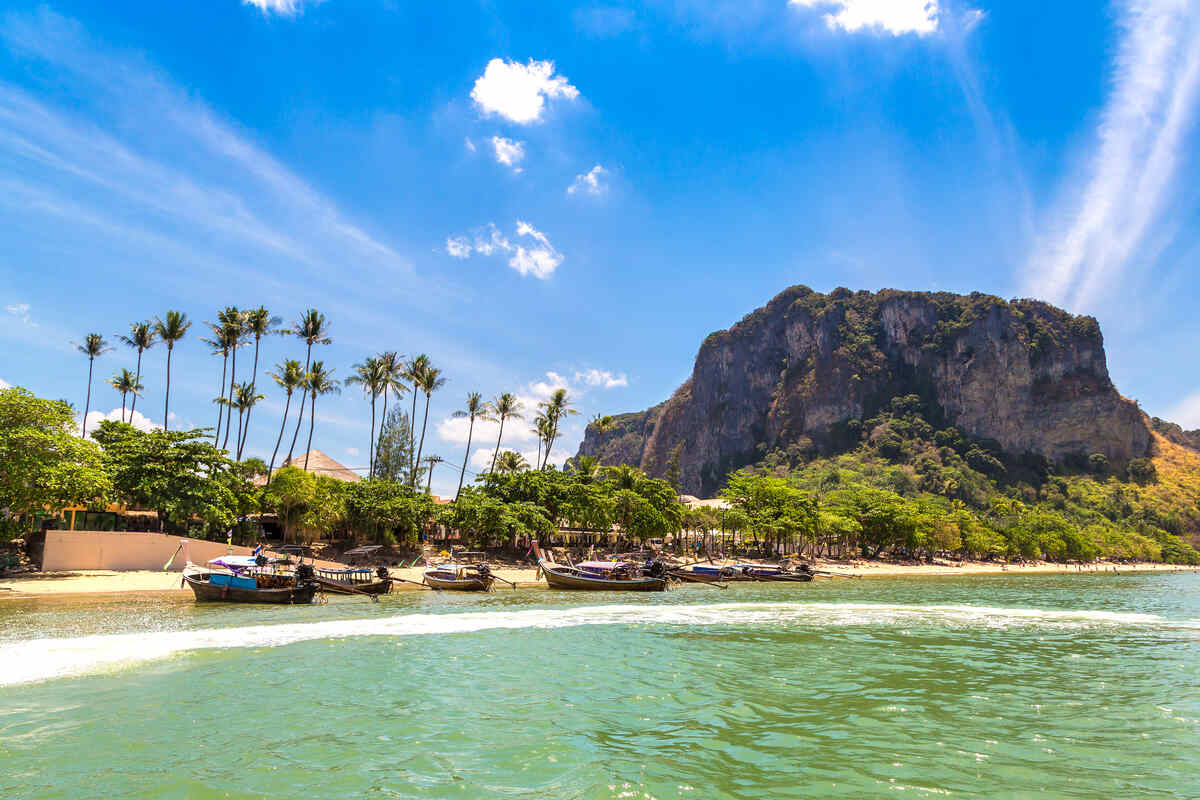 Beachfront with palm trees and a mountain backdrop.