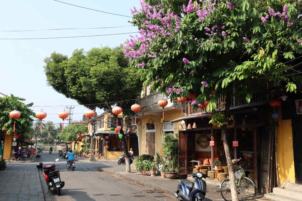 Street corner with trees and motorbikes.