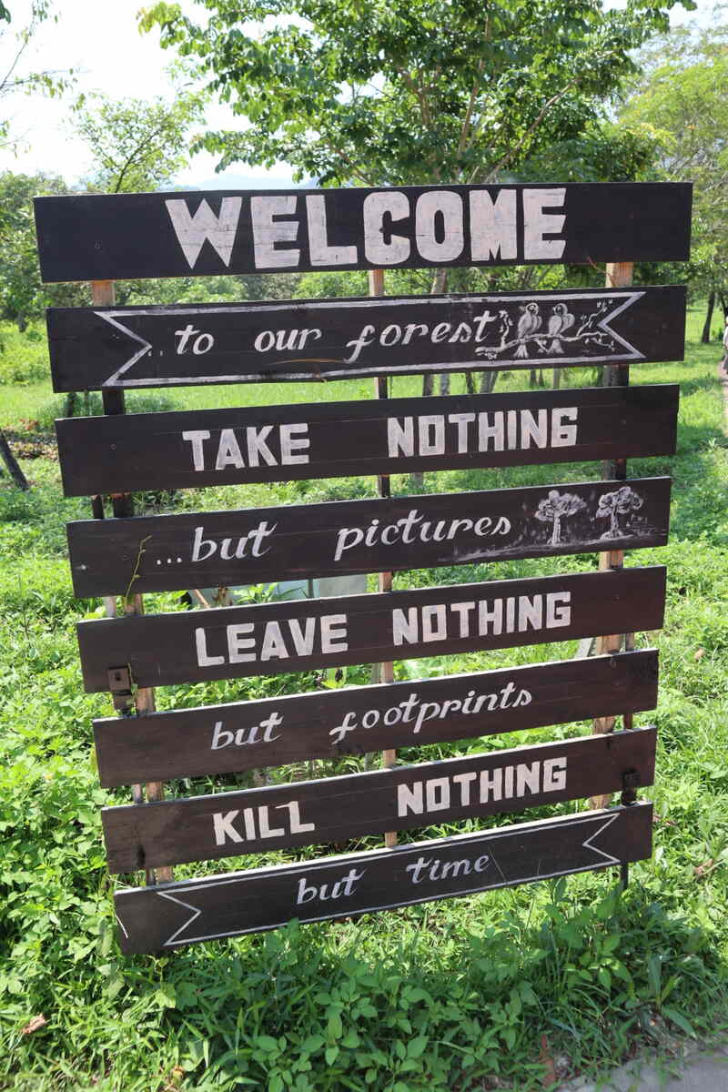 Sign with eco-friendly messages in a forest.