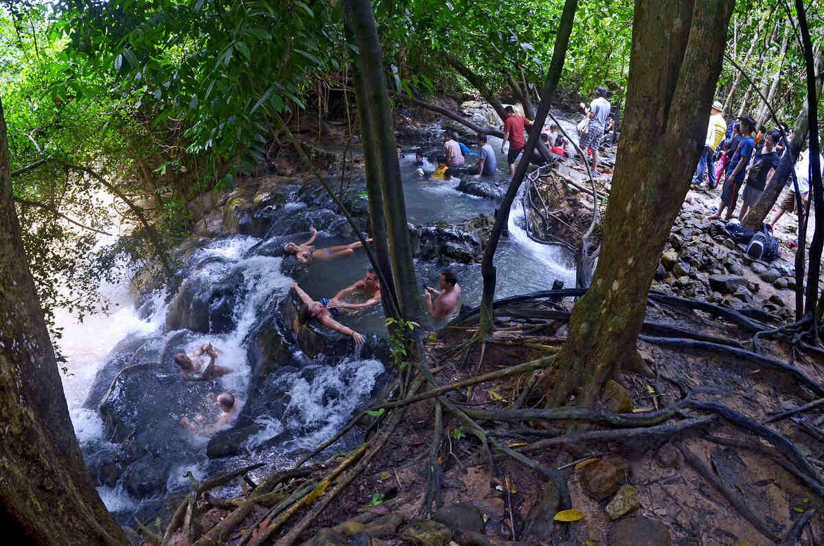 Forest with a river and people relaxing on the shore.