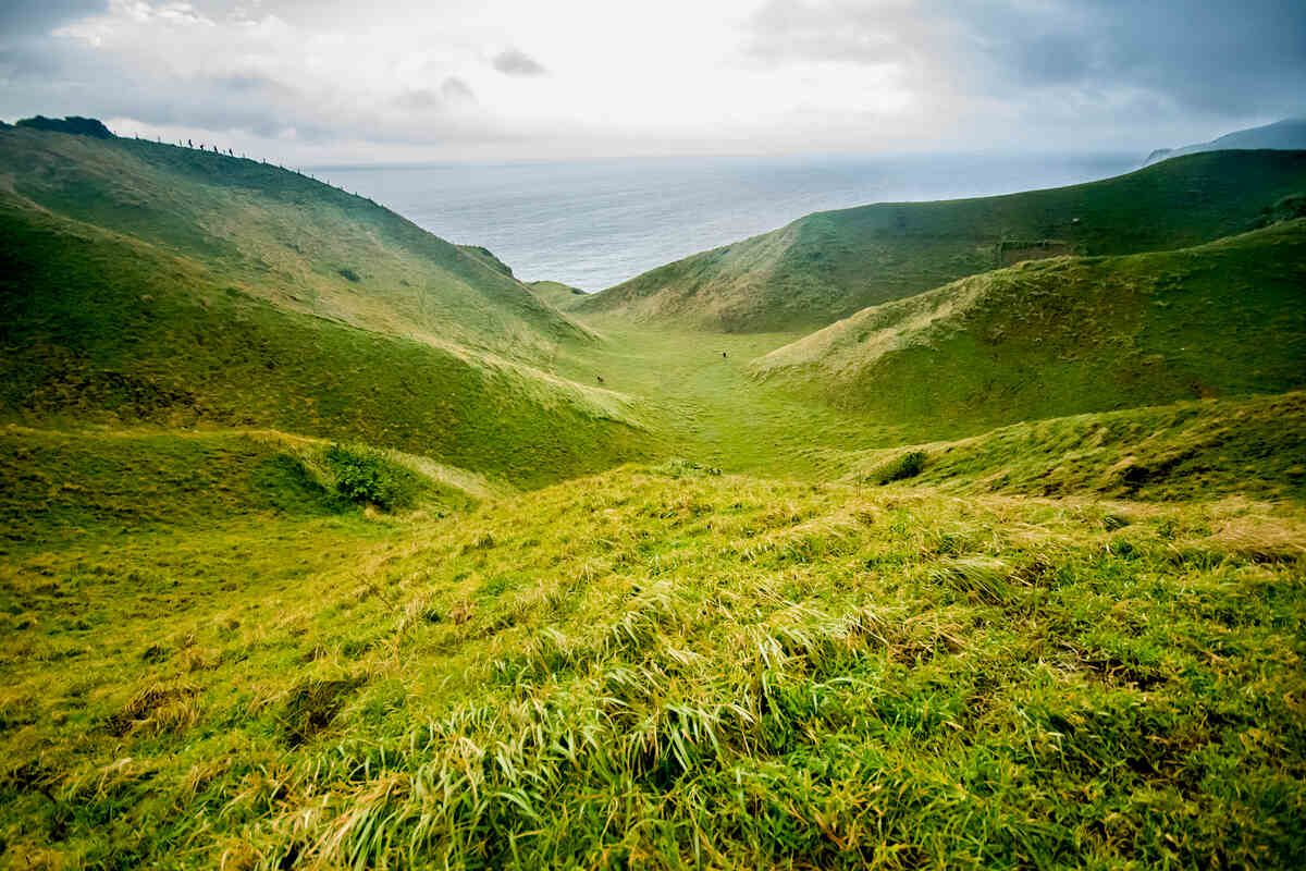 Verdant green terraced fields.