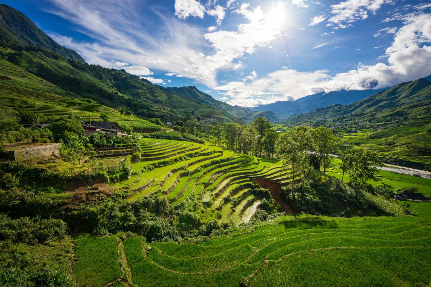 Rice terraces in Sapa Vietnam