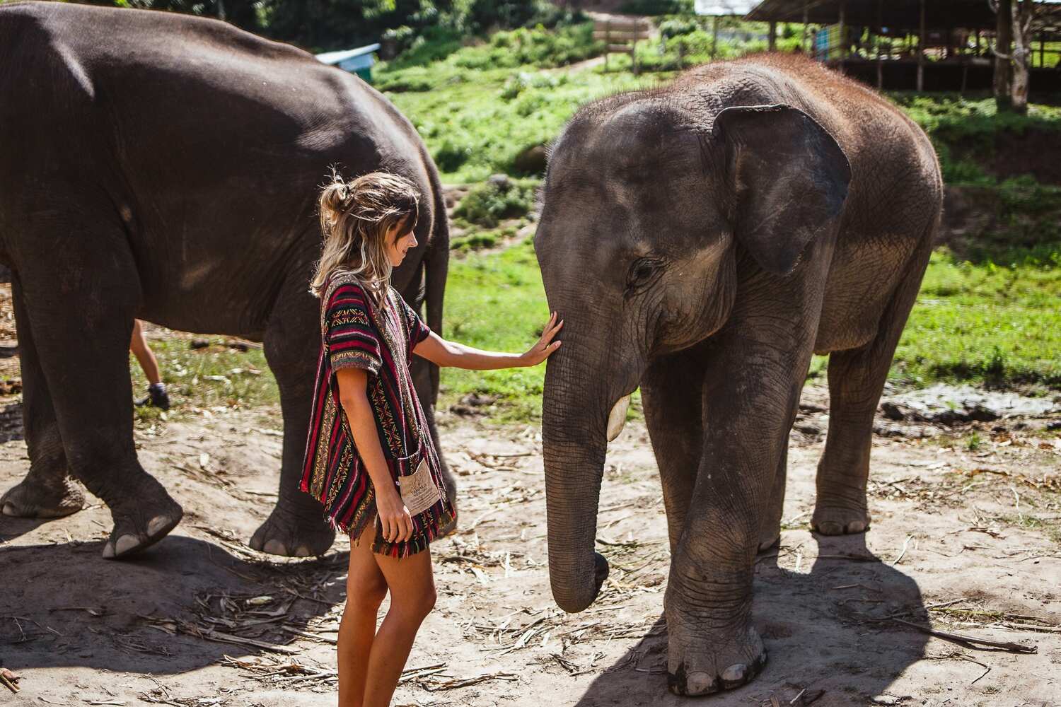 Woman taking photo with elephants at the Krabi Elephant sanctuary